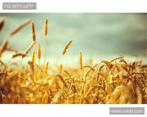 萨林杰的文学世界与心灵探索：从麦田里的守望者看青春的迷茫与追寻